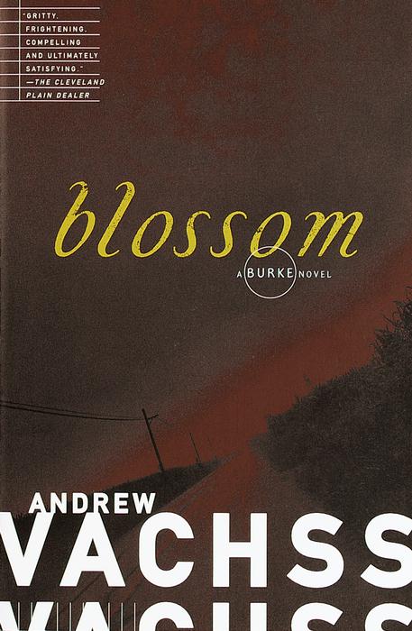 Blossom@